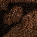 Castaño de Indias: una buena medicina