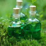 Tinturas Madre de Droguería Argentina