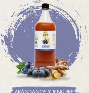 Pura Vida Kefir Arandanos y Jengibre x 1Lt