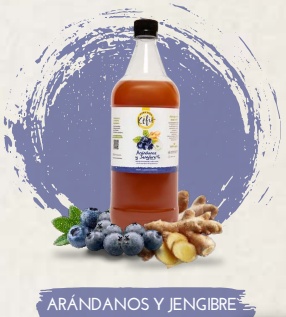 Pura Vida Kefir Arandanos y Jengibre x 1Lt