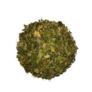 MORINGA HOJAS